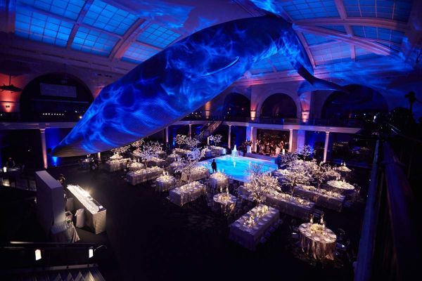 Wedding at The American Museum of Natural History