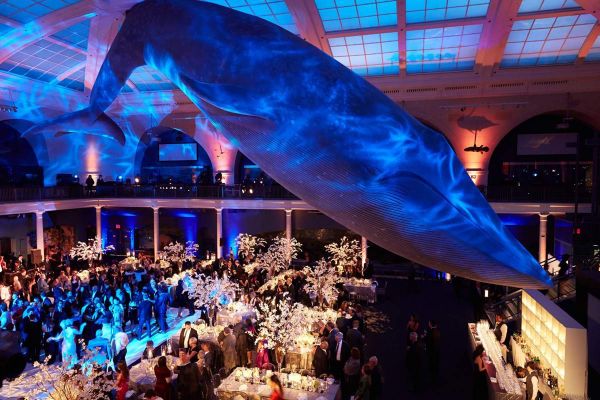 Wedding at The American Museum of Natural History