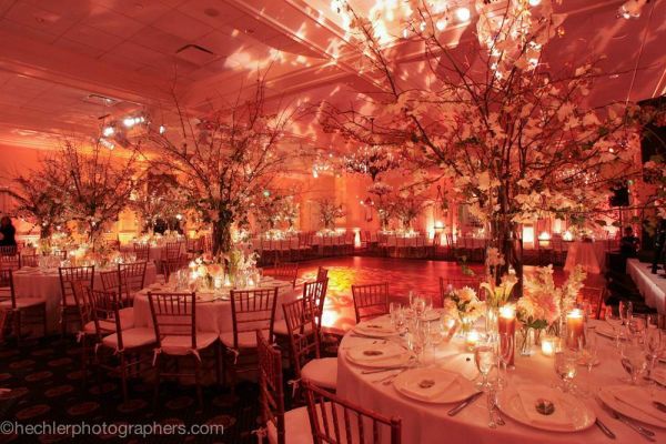 flowering branches for weddings