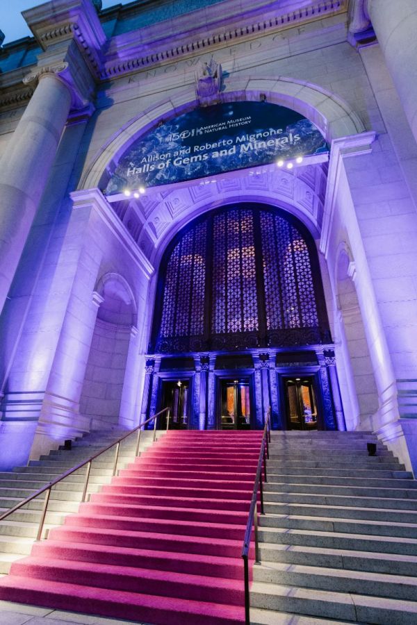 Purple-Infused Wedding at the Museum of Natural History