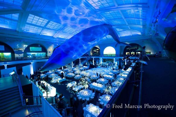 Dreamy Wedding at the American Museum of Natural History