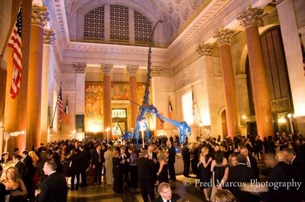Dreamy Wedding at the American Museum of Natural History